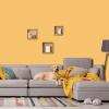 imagePRESTIGE Exterior Paint and Primer in One Always Flat 1 GallonLemon Lou