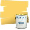 imagePRESTIGE Exterior Paint and Primer in One Always Flat 1 GallonSpotlight
