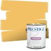 imagePRESTIGE Exterior Paint and Primer in One Always Flat 1 GallonSwiss Chalet