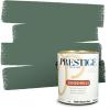 imagePRESTIGE Interior Paint and Primer in One Ballfield Satin 1 GallonDried Herbs