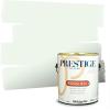 imagePRESTIGE Interior Paint and Primer in One Ballfield Satin 1 GallonShy Smile