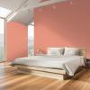 imagePRESTIGE Interior Paint and Primer in One Capri Orange SemiGloss 1 GallonBaby Carrot