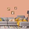 imagePRESTIGE Interior Paint and Primer in One Capri Orange SemiGloss 1 GallonButternut Squash