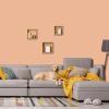 imagePRESTIGE Interior Paint and Primer in One Capri Orange SemiGloss 1 GallonMandarin Mist