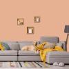 imagePRESTIGE Interior Paint and Primer in One Capri Orange SemiGloss 1 GallonOrange Flower