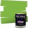 imagePRESTIGE Interior Paint and Primer in One Celtic Green Satin 1 GallonFlip Flop