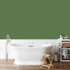 imagePRESTIGE Interior Paint and Primer in One Celtic Green Satin 1 GallonGreen Light