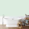 imagePRESTIGE Interior Paint and Primer in One Tides In SemiGloss 1 GallonCanary Green
