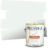 imagePRESTIGE Interior Paint and Primer in One Tides In SemiGloss 1 GallonWinter Wonderland