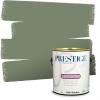 imagePRESTIGE Paints Interior Paint and Primer in One 1Gallon SemiGloss PansyCoastal Vineyard