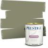 imagePRESTIGE Paints Interior Paint and Primer in One 1Gallon SemiGloss PansyGingko Tree