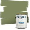 imagePRESTIGE Paints Interior Paint and Primer in One 1Gallon SemiGloss PansyGrape Leaves