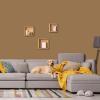 imagePRESTIGE Interior Paint and Primer in One Almond Petal Flat 1 GallonEagle Feather