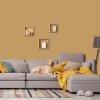 imagePRESTIGE Interior Paint and Primer in One Almond Petal Flat 1 GallonPhoenix Sun