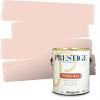imagePRESTIGE Paints Exterior Paint and Primer In One 1Gallon Flat Comparable Match of Benjamin Moore Townsend Harbor Brown43BMPCM