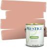 imagePRESTIGE Paints Exterior Paint and Primer In One 1Gallon Flat Comparable Match of Benjamin Moore Townsend Harbor Brown46BMPCM