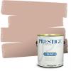 imagePRESTIGE Paints Exterior Paint and Primer In One 1Gallon Flat Comparable Match of Benjamin Moore Townsend Harbor BrownHC63BMPCM