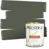 imagePRESTIGE Paints P400P449BM Interior Paint and Primer In One Satin Comparable Match of Benjamin Moore 1 gallon Serene Breeze462BMPCM