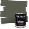 imagePRESTIGE Paints P400P449BM Interior Paint and Primer In One Satin Comparable Match of Benjamin Moore 1 gallon Serene Breeze462BMPCM