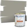 imagePRESTIGE Paints Interior Paint and Primer In One 1Gallon Satin Comparable Match of Benjamin Moore Quiet Moments1559BMPCM