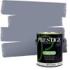 imagePRESTIGE Paints Exterior Paint and Primer In One 1Gallon Satin Comparable Match of Benjamin Moore Little Falls1440BMPCM