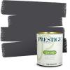 imagePRESTIGE Paints Exterior Paint and Primer In One 1Gallon Satin Comparable Match of Benjamin Moore Little Falls1442BMPCM