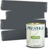 imagePRESTIGE Paints Exterior Paint and Primer In One 1Gallon Satin Comparable Match of Benjamin Moore Little Falls1624BMPCM
