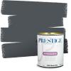imagePRESTIGE Paints Exterior Paint and Primer In One 1Gallon Satin Comparable Match of Benjamin Moore Little Falls1624BMPCM
