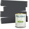 imagePRESTIGE Paints Exterior Paint and Primer In One 1Gallon Satin Comparable Match of Benjamin Moore Little Falls1631BMPCM