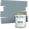 imagePRESTIGE Paints Exterior Paint and Primer In One 1Gallon Satin Comparable Match of Benjamin Moore Little Falls1635BMPCM