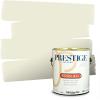 imagePRESTIGE Paints P500P541BM Interior Paint and Primer In One SemiGloss Comparable Match of Benjamin Moore 1 gallon Veranda View519BMPCM