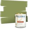 imagePRESTIGE Paints P500P541BM Interior Paint and Primer In One SemiGloss Comparable Match of Benjamin Moore 1 gallon Veranda View539BMPCM