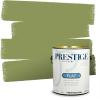 imagePRESTIGE Paints P500P541BM Interior Paint and Primer In One SemiGloss Comparable Match of Benjamin Moore 1 gallon Veranda View539BMPCM