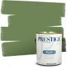 imagePRESTIGE Paints P500P541BM Interior Paint and Primer In One SemiGloss Comparable Match of Benjamin Moore 1 gallon Veranda View546BMPCM
