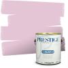 imagePRESTIGE Paints Exterior Paint and Primer In One 1Gallon SemiGloss Comparable Match of Benjamin Moore Grappa1368BMPCM