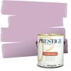 imagePRESTIGE Paints Exterior Paint and Primer In One 1Gallon SemiGloss Comparable Match of Benjamin Moore Grappa1376BMPCM
