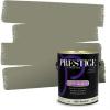 imagePRESTIGE Paints Exterior Paint and Primer In One 1Gallon Satin Comparable Match of Benjamin Moore Forest Hills Green1497BMPCM