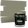 imagePRESTIGE Paints Exterior Paint and Primer In One 1Gallon Satin Comparable Match of Benjamin Moore Forest Hills Green1497BMPCM