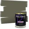 imagePRESTIGE Paints Exterior Paint and Primer In One 1Gallon Satin Comparable Match of Benjamin Moore Forest Hills Green1498BMPCM