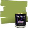 imagePRESTIGE Paints Exterior Paint and Primer In One 1Gallon Satin Comparable Match of Benjamin Moore Forest Hills Green406BMPCM