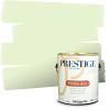 imagePRESTIGE Paints Exterior Paint and Primer In One 1Gallon Satin Comparable Match of Benjamin Moore Forest Hills Green407BMPCM
