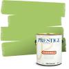 imagePRESTIGE Paints Exterior Paint and Primer In One 1Gallon Satin Comparable Match of Benjamin Moore Forest Hills Green412BMPCM