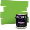imagePRESTIGE Paints Exterior Paint and Primer In One 1Gallon Satin Comparable Match of Benjamin Moore Forest Hills Green420BMPCM