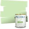 imagePRESTIGE Paints Exterior Paint and Primer In One 1Gallon Satin Comparable Match of Benjamin Moore Forest Hills Green423BMPCM