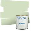 imagePRESTIGE Paints Exterior Paint and Primer In One 1Gallon Satin Comparable Match of Benjamin Moore Forest Hills Green429BMPCM