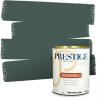 imagePRESTIGE Paints Exterior Paint and Primer In One 1Gallon Satin Comparable Match of Benjamin Moore Polished Slate686BMPCM