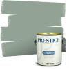 imagePRESTIGE Paints Exterior Paint and Primer In One 1Gallon Satin Comparable Match of Benjamin Moore Polished Slate698BMPCM