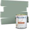 imagePRESTIGE Paints Exterior Paint and Primer In One 1Gallon Satin Comparable Match of Benjamin Moore Polished Slate698BMPCM