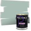 imagePRESTIGE Paints Exterior Paint and Primer In One 1Gallon Satin Comparable Match of Benjamin Moore Polished Slate703BMPCM