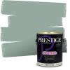 imagePRESTIGE Paints Exterior Paint and Primer In One 1Gallon Satin Comparable Match of Benjamin Moore Polished Slate704BMPCM